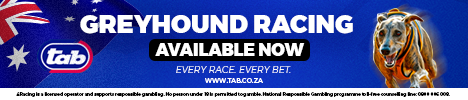 4 racing greyhounds