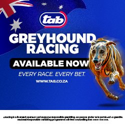 4 Racing Greyhounds