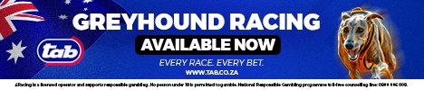 4 racing greyhounds