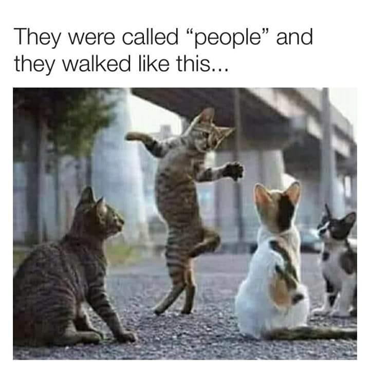 people.jpg