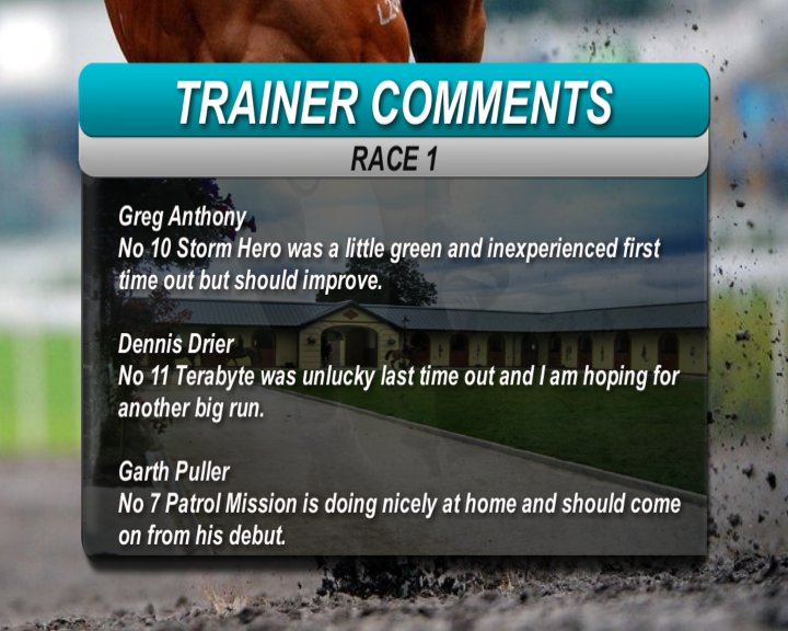 grey1-2.jpg