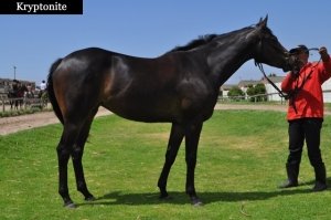 Kryptonite-renamed2-300x199.jpg
