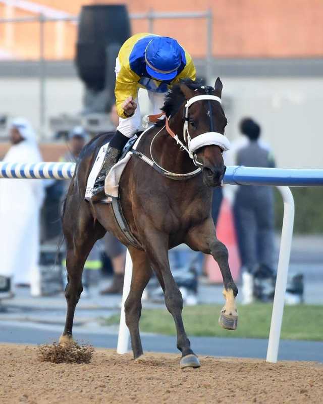 Mubtaahij2.jpg