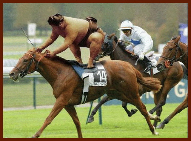 SUMO.jpg