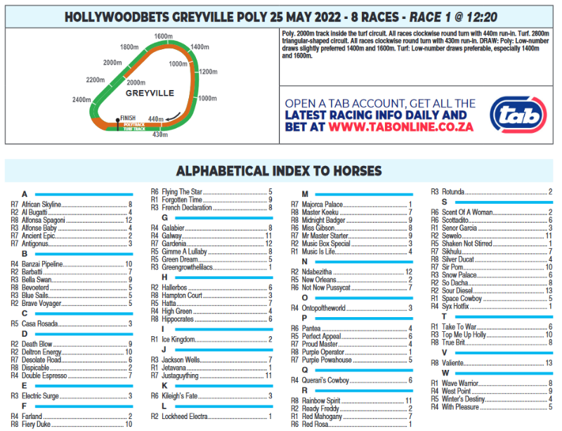 Screenshot2022-05-24at21-04-47CFSA_GREYVILLEPOLY2022.05.25.indb-HOLLYWOODBETSGREYVILLEPOLY2022.05.25.pdf.png