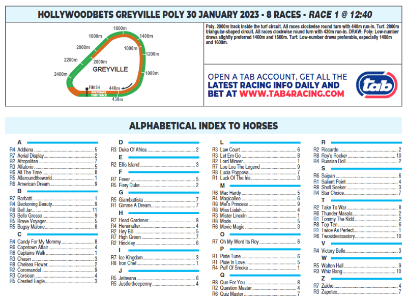 Screenshot2023-01-29at20-57-08CFSA_GREYVILLE2023.01.30.indb-HOLLYWOODBETSGREYVILLE2023.01.30.pdf.png