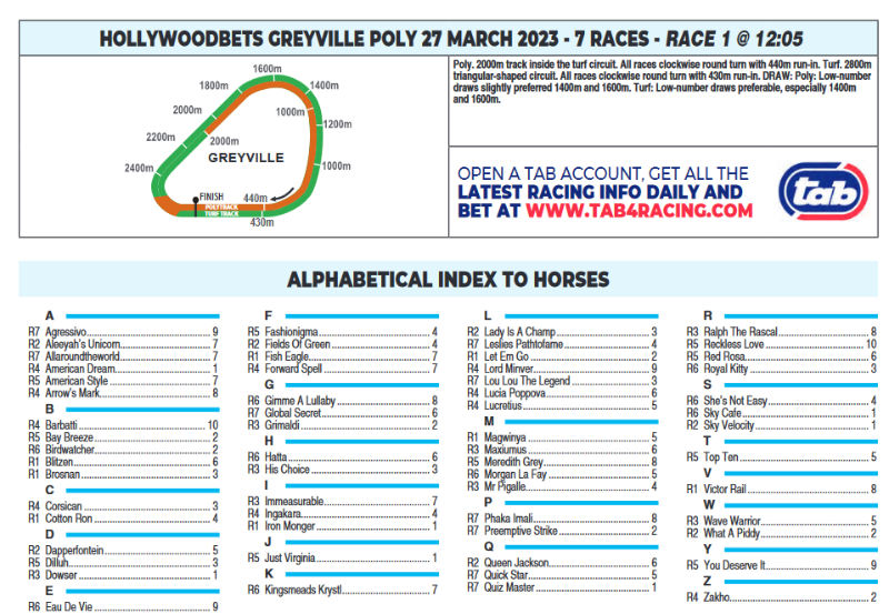 Screenshot2023-03-27at08-27-06HOLLYWOODBETSGREYVILLEPOLY2023.03.27.pdf.png