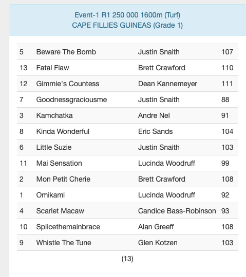 Screenshot2024-11-18at13.01.56.png