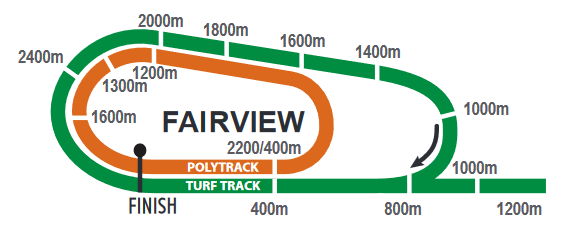 Screenshot_2021-02-11CFSA_FAIRVIEW20210212indb-FAIRVIEW20210212pdf_2021-03-07.png