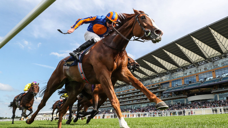 love-royal-ascot_5423828.jpg