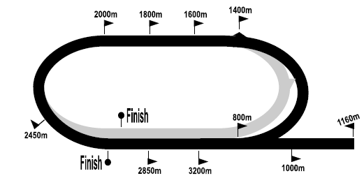 turfstand_2020-12-02.png