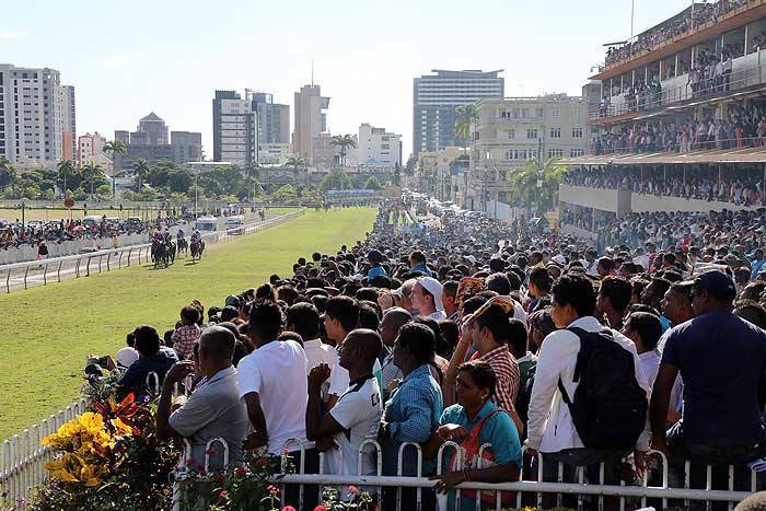 crowd.jpg