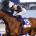 EquinePedigrees's Avatar